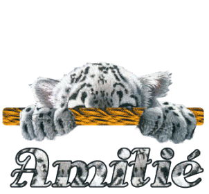 MESSAGE POUR VOS AMIS